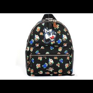 Authentic mini Coach backpack (used once)